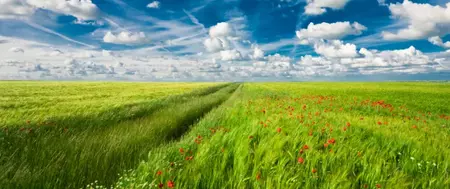 Aktivkohle für Biogasproduktion